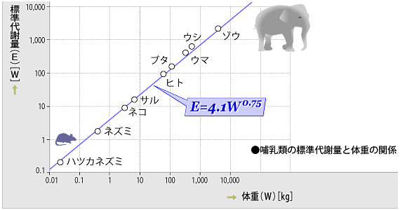 M̕WӗʂƑ̏d̊֌W